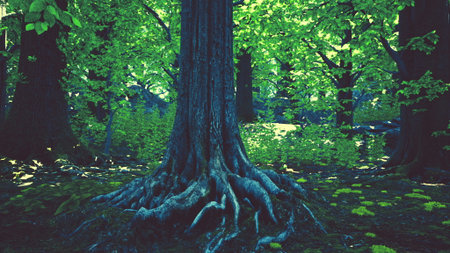 Deep in a lush forest, thick tree roots stretch across the ground, surrounded by vibrant green...