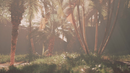 In this tranquil tropical setting, golden sunlight spills through palm fronds, casting soft shadows on vibrant green grass. The peaceful atmosphere invites relaxation and reflection.の写真素材