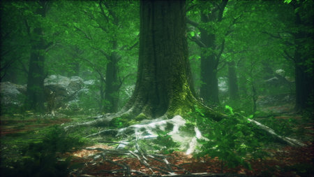 A grand tree with thick roots rises in a vibrant green forest, sunlight filtering through the leaves. The ground is rich with foliage, creating a peaceful and serene atmosphere.の写真素材