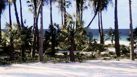 Bright sunlight filters through tall palm trees in a serene tropical setting. Soft sand meets turquoise waves, creating a peaceful retreat for nature lovers and beachgoers.の写真素材