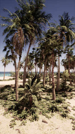 Tall palm trees stand proudly along the coastline, their leaves dancing in the warm breeze. The ocean glimmers in the distance, inviting relaxation and tranquility.の写真素材