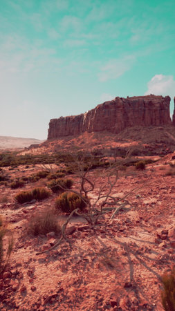Vast desert stretches across the horizon with towering cliffs casting long shadows. Dry plants and rugged terrain create a stunning scene against a bright sky. Natures beauty enchants every visitor.の写真素材