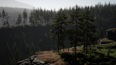 Tall evergreen trees rise majestically from a rocky cliff, bathed in the soft light of dawn. A serene landscape invites exploration and adventure in this tranquil outdoor setting.の写真素材