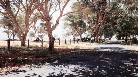 A serene rural scene unfolds with a winding road surrounded by tall trees. Gentle sunlight filters...