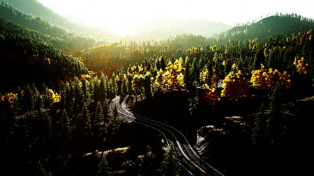 A winding road cuts through a vibrant forest filled with golden and green trees. Sunlight filters through the leaves, creating a serene and picturesque autumn scene that invites exploration.の写真素材