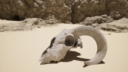 An ancient animal skull rests in the golden sands of a vast desert, surrounded by rocky formations and a serene atmosphere. The sun casts soft shadows, enhancing the scenes tranquility.の写真素材