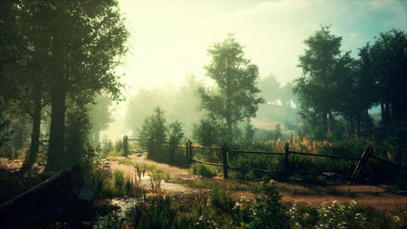 Gentle sunlight breaks through trees, illuminating a peaceful forest path. Lush greenery and blooming wildflowers frame the trail, creating a serene atmosphere for exploration.の写真素材