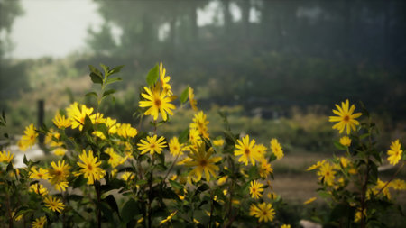 Golden petals stand tall against a foggy backdrop, creating a tranquil scene as the morning light...