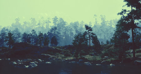 A tranquil setting showcases tall trees along a calm body of water, with morning haze creating a...