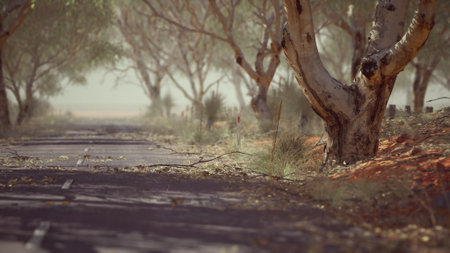 A serene dirt road winds through a landscape filled with tall trees and faded brush. The peaceful scene invites exploration, evoking a sense of adventure in nature.の写真素材