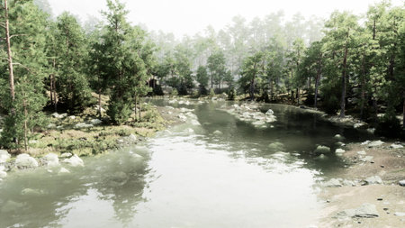 A serene river meanders through a vibrant forest, with gentle mist rising from the water. Rocks dot the riverbed, while tall trees create a peaceful atmosphere in autumn.の写真素材