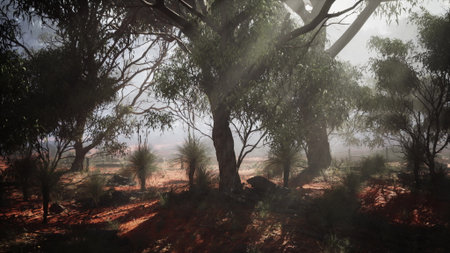 In the early hours of the morning, soft sunlight streams through trees in a quiet Australian bush....