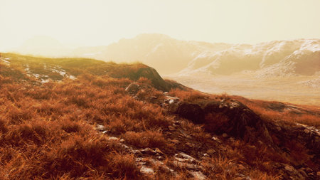 Soft golden hues illuminate the sprawling grasslands at sunrise, revealing rugged rocks and distant mountains. A tranquil moment in nature invites exploration and wonder.の写真素材