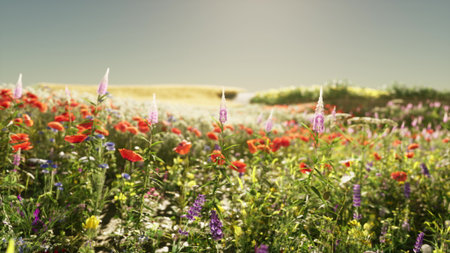 Colorful wildflowers bloom in a sunlit field, creating a lively tapestry of reds, purples, and yellows. The warm sunlight enhances the beauty of natures artistry. A perfect serene moment to enjoy.の写真素材