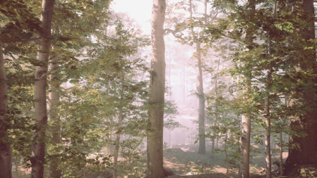 A serene forest scene unfolds as soft sunlight breaks through towering trees. Mist lingers in the...