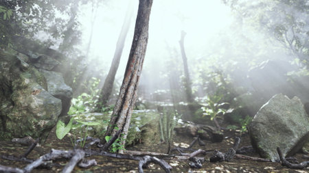 Sunlight streams through the leaves, illuminating a serene forest. The tranquil setting features tall trees, lush greenery, and scattered rocks, creating an enchanting atmosphere of nature.の写真素材