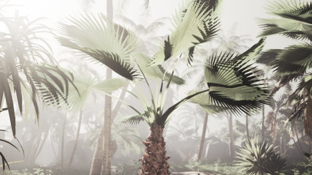 Tall palm trees rise majestically in a foggy tropical landscape, their lush green leaves contrasting with the mist. A tranquil scene invites reflection and admiration of natures beauty.の写真素材