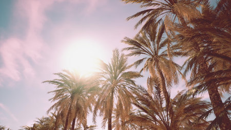 Green palm fronds stretch upward against a bright sky filled with soft clouds as sunlight gleams...
