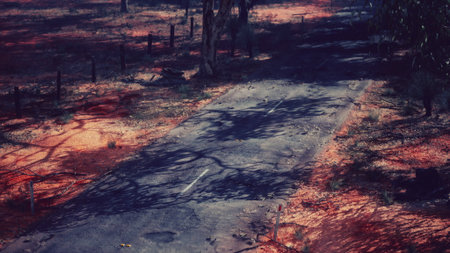A quiet rural road stretches into the distance, surrounded by trees casting intricate shadows. The midday sun creates a warm hue on the ground, enhancing the peaceful atmosphere.の写真素材