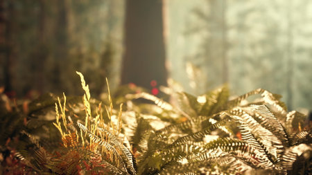 Soft sunlight cascades through a serene forest, illuminating lush green ferns. Morning mist hangs in the air, creating a peaceful atmosphere in this natural paradise.の写真素材