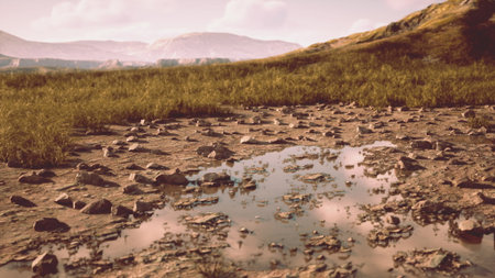 A serene landscape showcases a flat area with scattered rocks and puddles reflecting the clouds above. Lush grass surrounds the water, creating a calm atmosphere in a natural setting.の写真素材