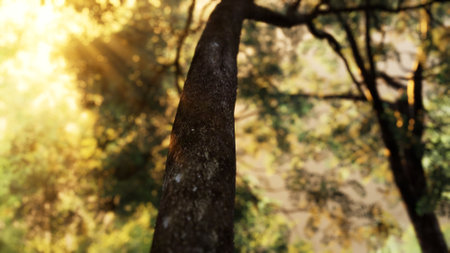 Sunlight bursts through the canopy, casting a warm glow on the trunk of a majestic tree. Leaves...