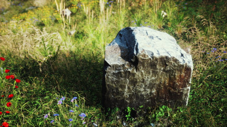 A rugged stone stands firm in a vibrant meadow filled with colorful wildflowers under a clear blue sky. The warm sunlight bathes the scene, creating a serene atmosphere.の写真素材