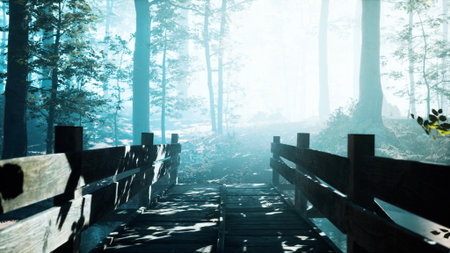A serene wooden bridge stands in a lush forest as soft sunlight streams through the trees. Mist hugs the ground, creating an enchanting atmosphere filled with tranquility and natures beauty.の写真素材