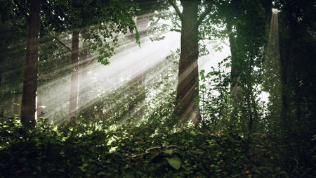 Bright rays of sunlight filter through tall trees, creating a magical atmosphere in the quiet...
