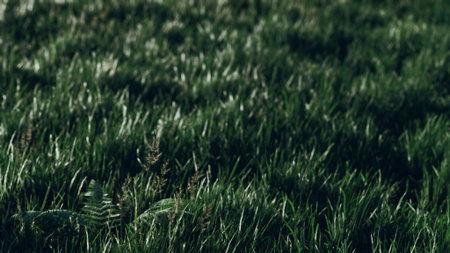 Lush green grass fills the view, glistening under the warm sunlight. The gentle breeze causes the blades to sway, creating a peaceful atmosphere in the meadow.の写真素材