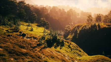 Sunlight bathes lush hills and scattered trees, creating a serene scene. The peaceful landscape invites exploration in a tranquil natural setting during the golden hour.の写真素材