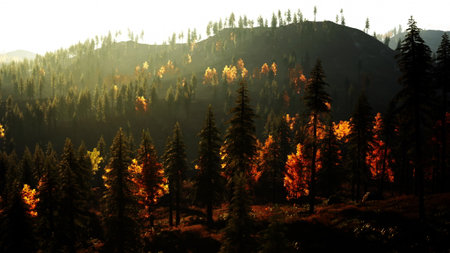 Sunlight filters through the treetops, casting a warm glow on colorful autumn leaves. The serene...