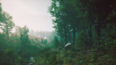 Morning light breaks through the mist in a tranquil forest scene. Tall trees frame the gentle stream, while vibrant greenery carpets the ground. Nature awakens in peaceful harmony.の写真素材