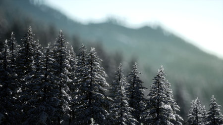 Tall pine trees blanketed in fresh snow stand proudly under soft winter light. The serene mountains...