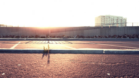 Warm light of the sunset bathes an empty parking lot, highlighting a single resilient plant growing between the cracks. The serene atmosphere evokes a sense of peace and solitude.の写真素材