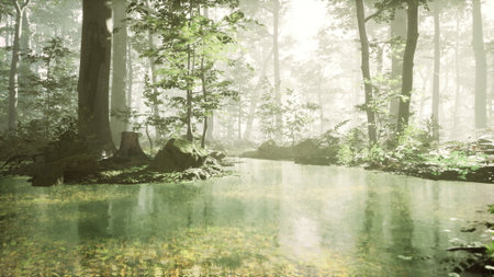 A serene forest scene features a calm stream surrounded by lush greenery and towering trees. Soft mist envelops the area, creating a peaceful and magical atmosphere.の写真素材