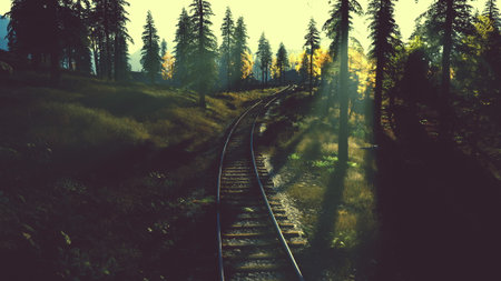 A serene railway track stretches through a vibrant forest. Tall trees embrace the surroundings,...