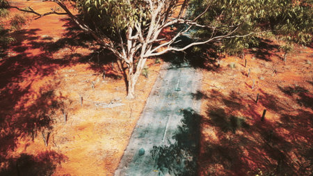 A winding road emerges through an arid landscape filled with striking red earth and scattered green...