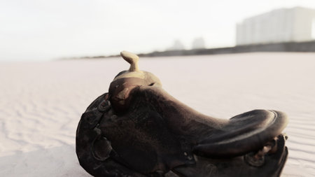 A curious, weathered object lies on a sandy beach, glistening in the early morning light. Nearby, the shoreline and distant buildings create an intriguing backdrop.の写真素材