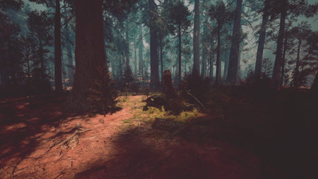 A serene forest landscape during dusk features towering trees and scattered shadows. Sunlight...