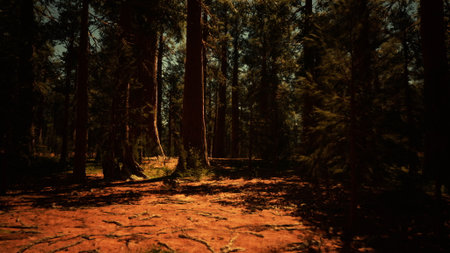 Wander through a peaceful forest where majestic trees reach for the sky. Sunlight filters through the leaves, creating a calm atmosphere perfect for reflection and exploration.の写真素材
