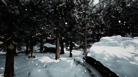 A peaceful winter landscape shows snowflakes gently falling among tall evergreen trees. The ground is blanketed with fresh snow, creating a quiet atmosphere perfect for reflection.の写真素材