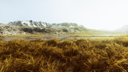 Golden grasses sway gently in the wind, stretching across the landscape towards majestic mountains. The bright sunlight casts a warm glow over the serene scene.の写真素材