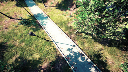 A serene pathway meanders through a lush urban park teeming with greenery. Sunlight filters through...