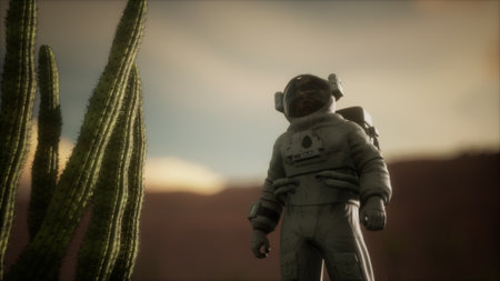 An astronaut in a space suit encounters a stunning desert landscape. Towering cacti stretch toward the sky under a pastel sunset, blending technology and nature in a stark contrast.の写真素材