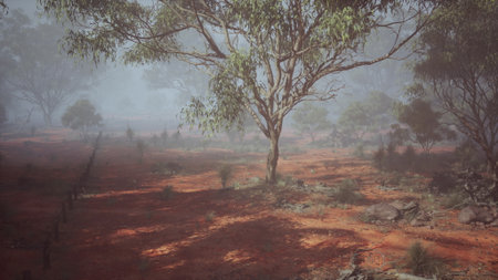Capture the ethereal beauty of a foggy field enveloped by towering eucalyptus trees in this...