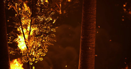 As night falls, a fierce wildfire spreads through the forest, illuminating the trees with bright...