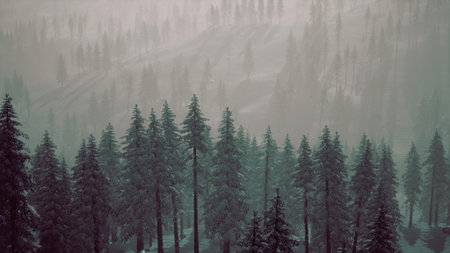 A quiet, misty forest scene showcases tall evergreens blanketed in snow. The atmosphere feels...