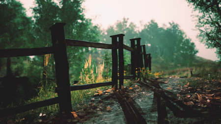 A serene pathway lined with wooden fencing invites exploration. Rain softly falls, creating a peaceful atmosphere. Lush greenery surrounds the area, enhancing the tranquil scene.の写真素材