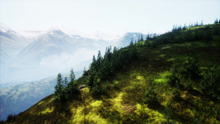 Vibrant green hills roll into the majestic mountains, where trees stand tall under the clear sky. Wisps of fog dance between peaks, creating a serene and breathtaking view in natures embrace.の写真素材